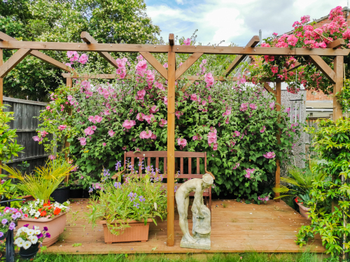 backyard pergolas