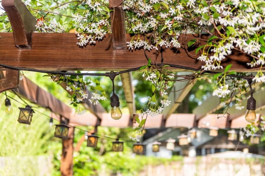 Wood pergola